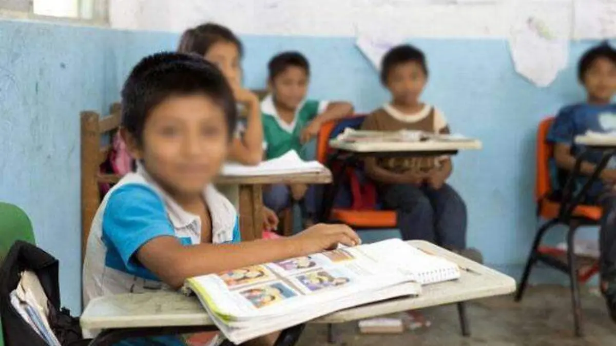 educacion indigena